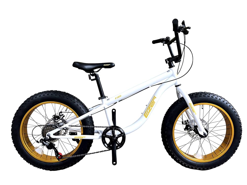 20インチファットホイール48V 750W 20x4.0 美品 Amazon | SZWEDI 20x4.0 フロントファットバイクホイール